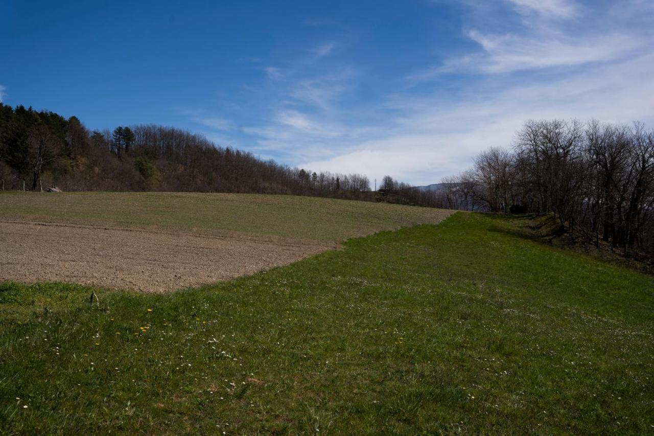 Cavizzano 028 - Agriturismo "Il Boschetto" Con Piscina, Pace E Natura - Camera Familiare מראה חיצוני תמונה