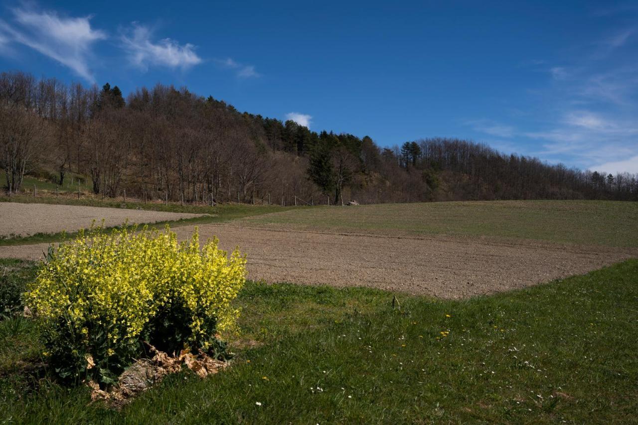 Cavizzano 028 - Agriturismo "Il Boschetto" Con Piscina, Pace E Natura - Camera Familiare מראה חיצוני תמונה