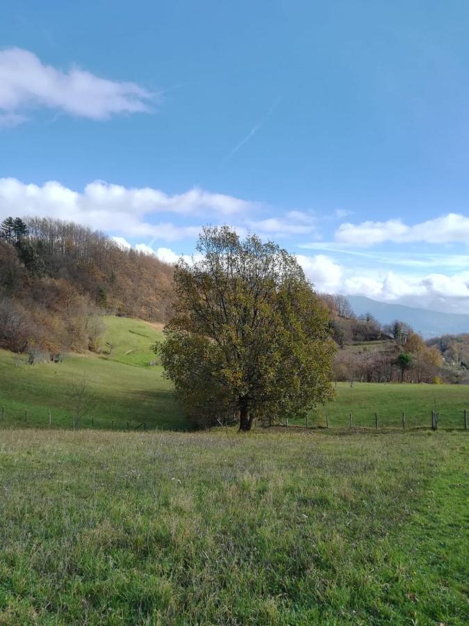 Cavizzano 028 - Agriturismo "Il Boschetto" Con Piscina, Pace E Natura - Camera Familiare מראה חיצוני תמונה